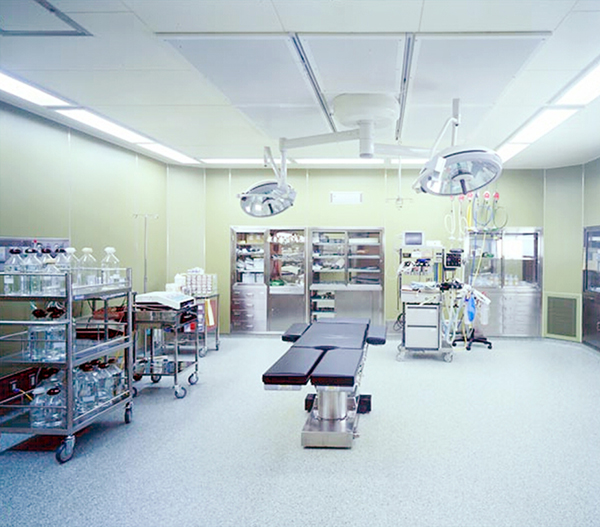 巴马高效创新实验室多少钱