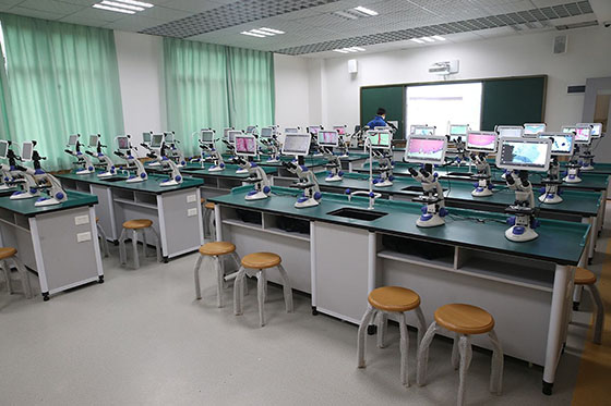 1576314265842850.jpg 4.jpg